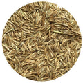 Tetragain Perennial Ryegrass