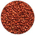 Honey Sweet Hybrid BMR Sorghum-Sudangrass