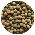 Austrian Winter Peas