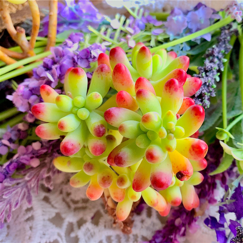 Jelly Beans Plant - Sedum Pachyphyllum Clustered - 2"-2.5" Multi-stemmed Succulent
