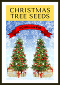 Grow Your Own CHRISTMAS TREE - Douglas Fir ( Pseudotsuga Menziesii ) Gift Packet of Tree Seeds