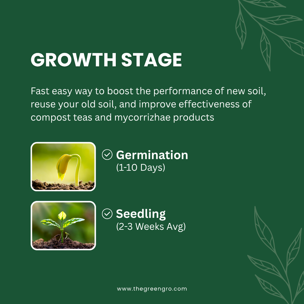 Earthshine Biochar