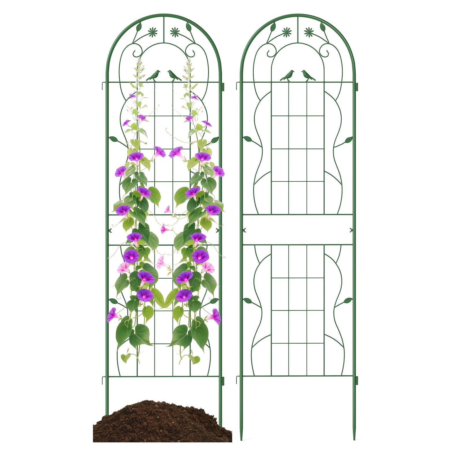 2 Pack 71 x 20 Inch Metal Garden Trellis Rustproof Plant Support for Climbing Plants