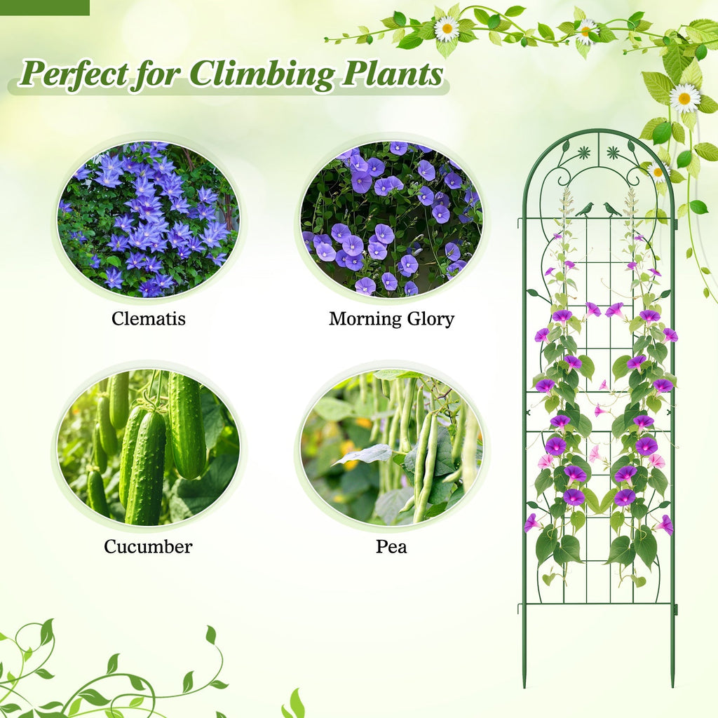 2 Pack 71 x 20 Inch Metal Garden Trellis Rustproof Plant Support for Climbing Plants