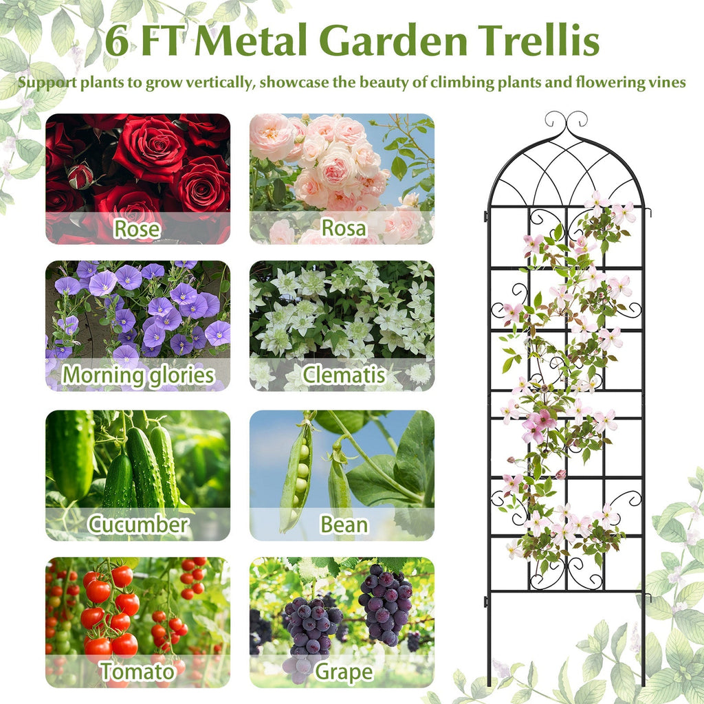 2 Pack 71" x 20" Metal Garden Trellis for Outdoor Climbing Plants
