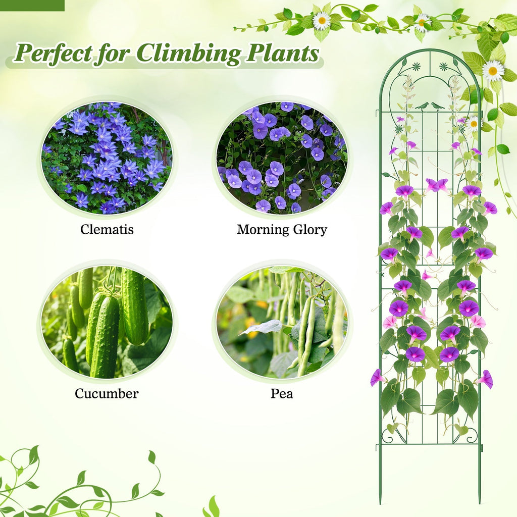 2 Pack 86.5 x 20 Inches Metal Garden Trellis for Climbing Plants