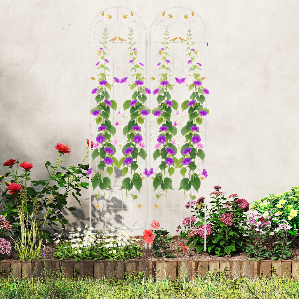 2 Pack 86.5 x 20 Inches Metal Garden Trellis for Climbing Plants