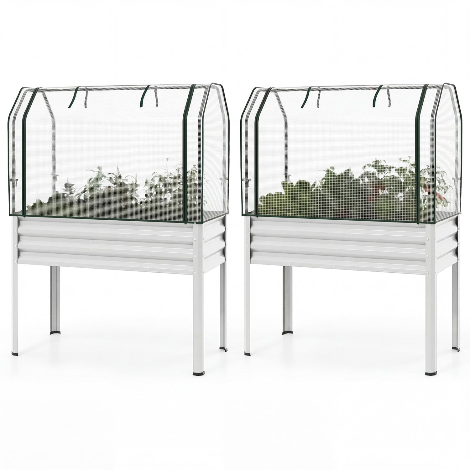 2 Pieces Galvanized Raised Garden Bed with Legs and Greenhouse Cover for Vegetable Flower