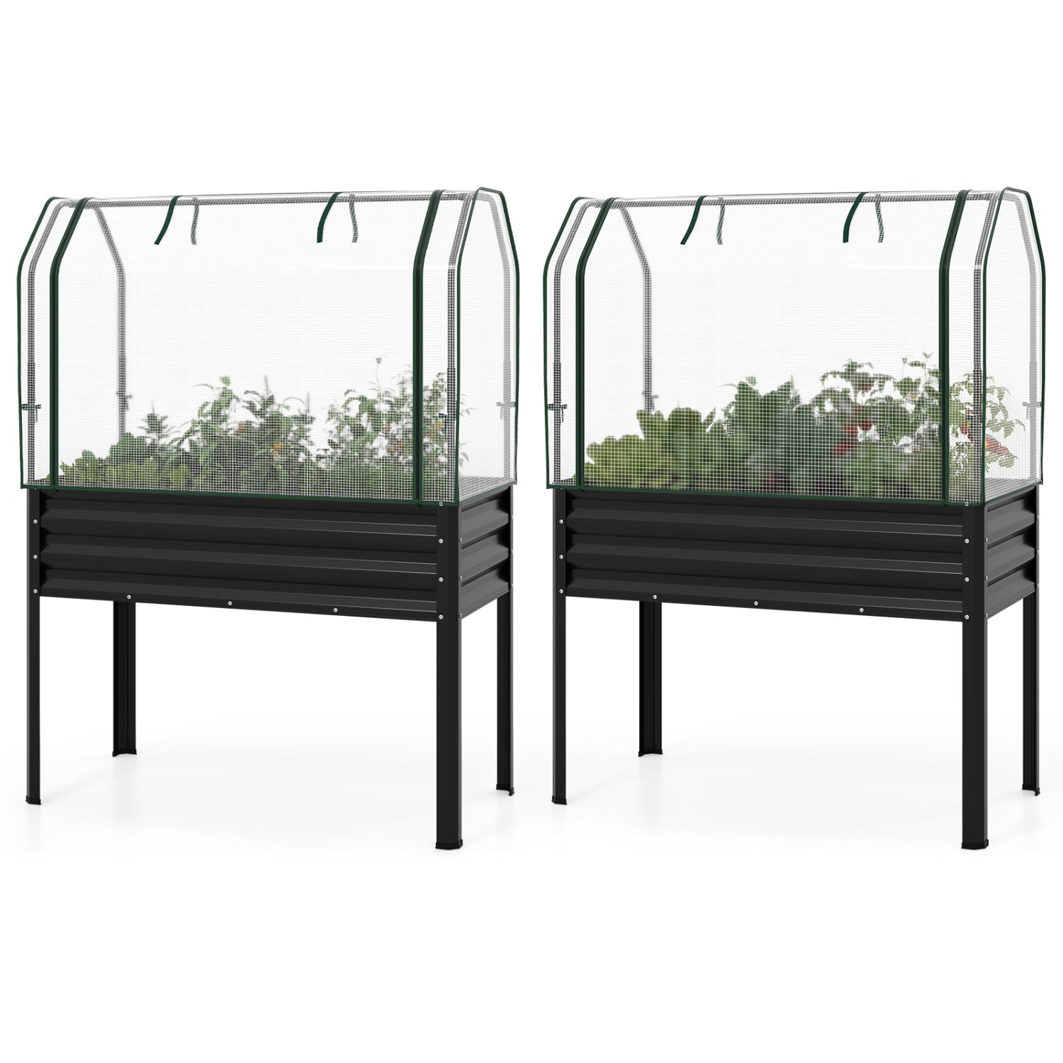 2 Pieces Galvanized Raised Garden Bed with Legs and Greenhouse Cover for Vegetable Flower