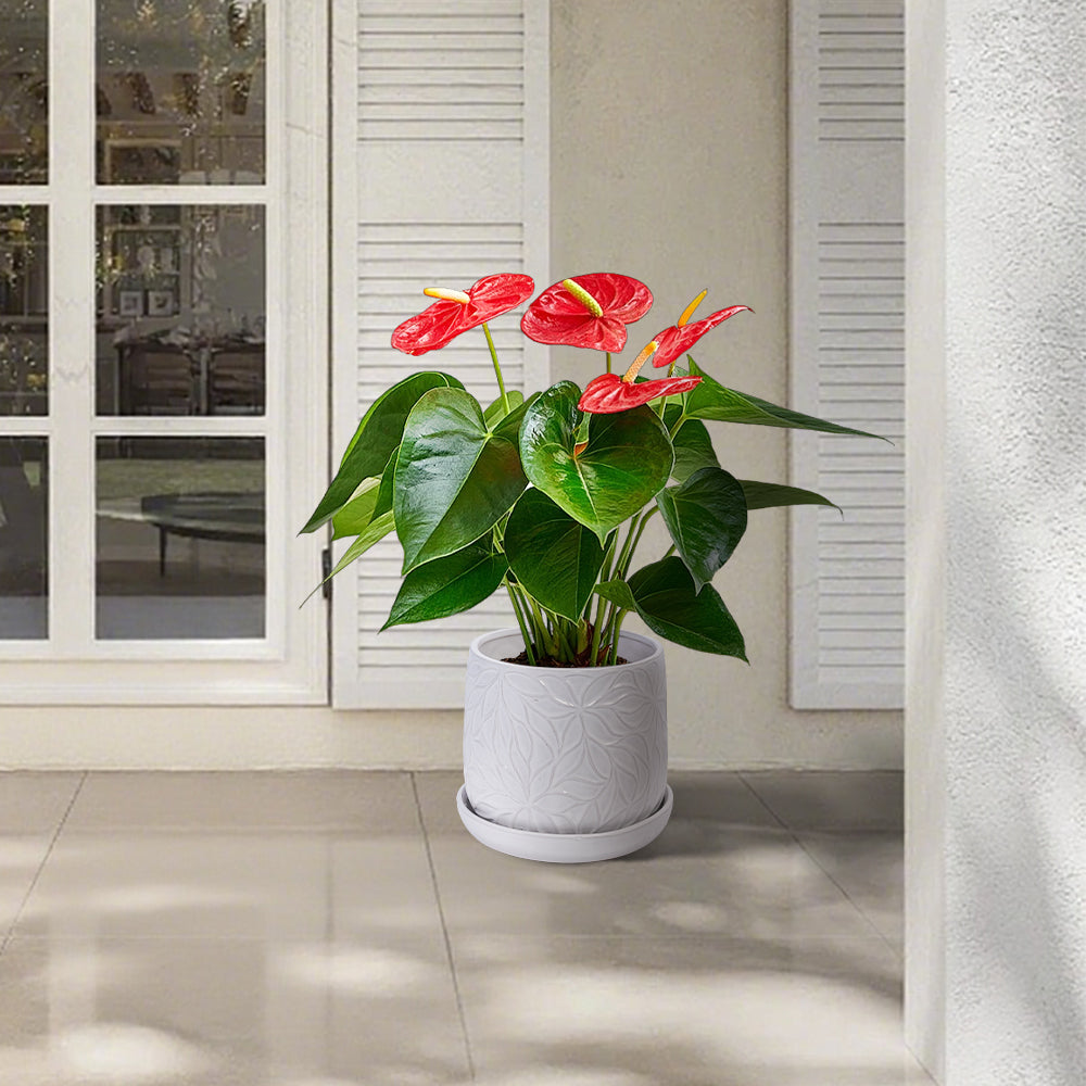 2 Pieces Ceramic Planter Pot, Modern Indoor Outdoor Flowerpot for Patio, Garden, or Windowsills - Gloss White