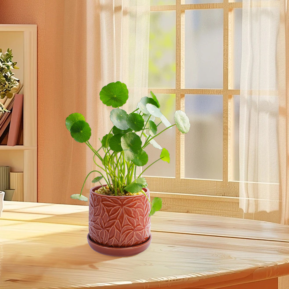 Set of 2 Ceramic Flowerpot, 7' Modern Planter for Patio, Garden, Windowsill - Red