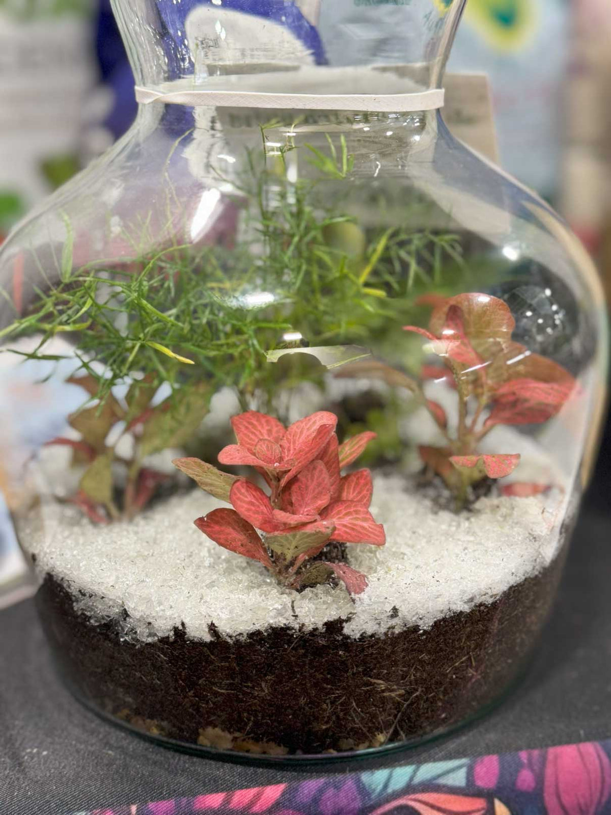 2nd SAND: New Terrarium and Container Decoration! COLLECTIVE