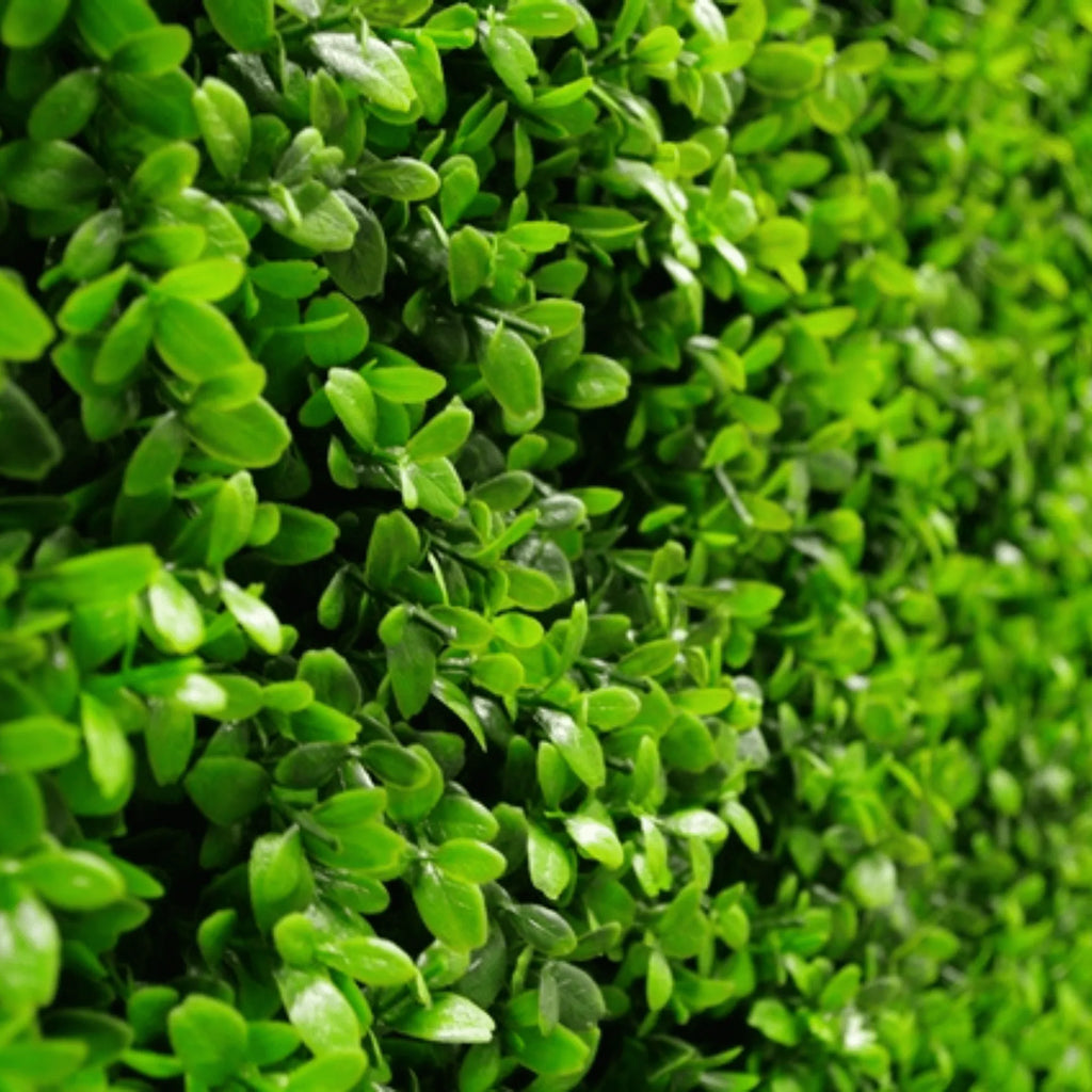 Sample Panel – Bright Boxwood Green Wall (Small Sample)