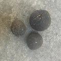 Organic Black Walnuts in Hulls for Ritual Baths - Set of 3