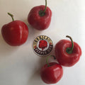 Manzano Red - Seeds
