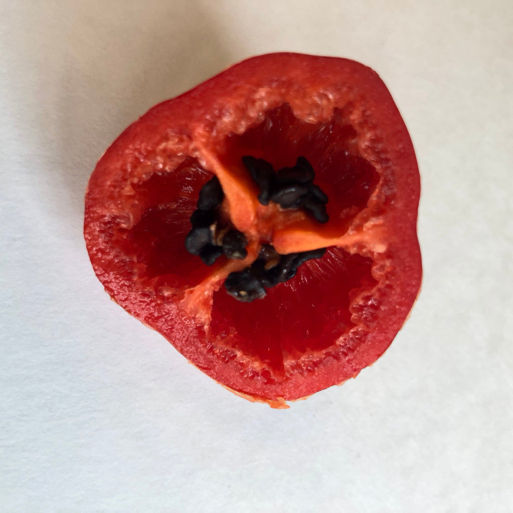 Manzano Red - Seeds