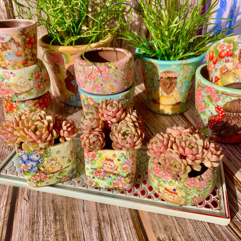 [Mother's Day Gift] Beautiful Hardiness Succulent - Echeveria 'Ben Badis' - Multiple  Rosettes Approx. 3–3.5 inches Across