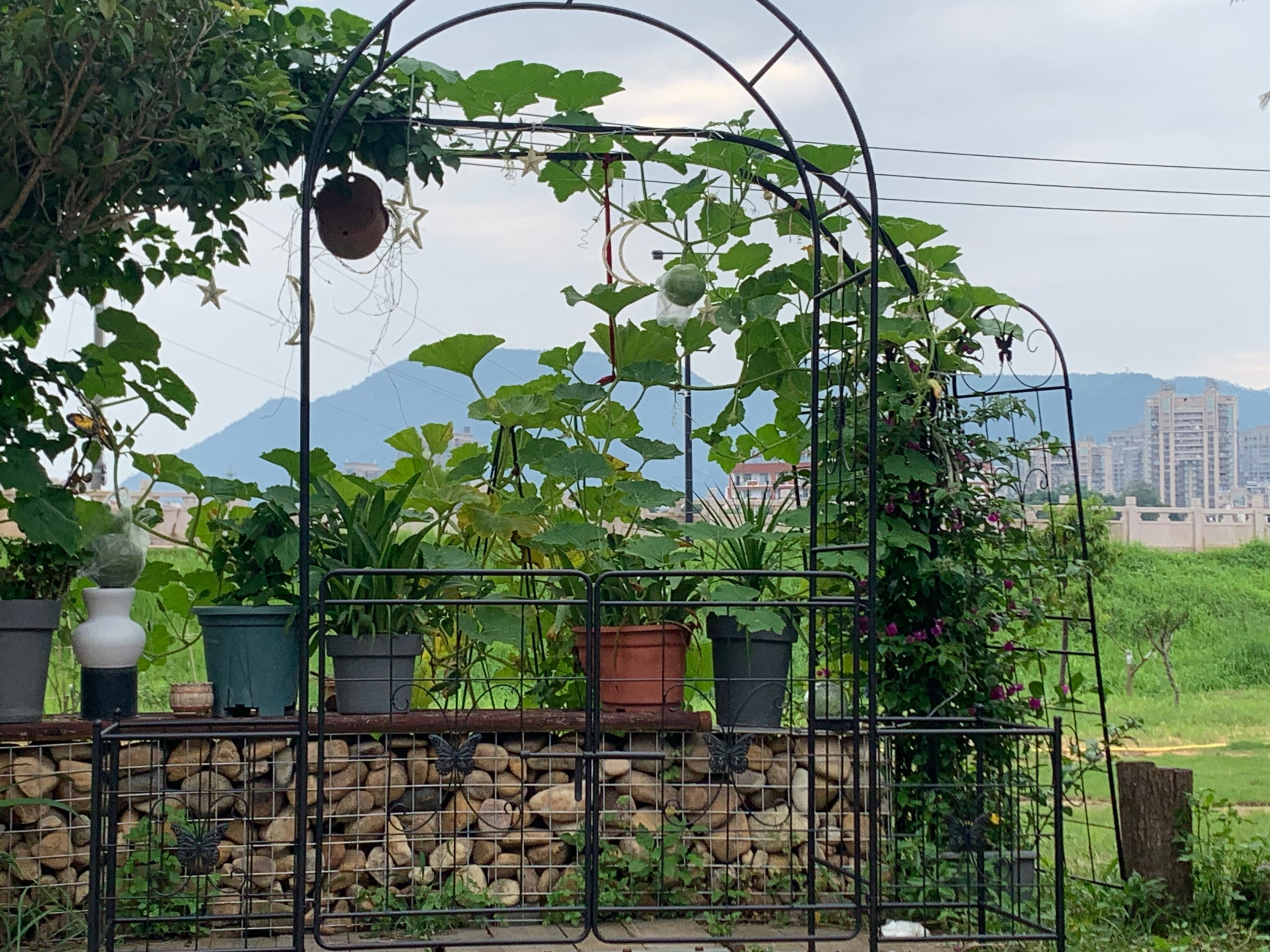 Garden Arch Arbor Trellis for Climbing Plants with Gate