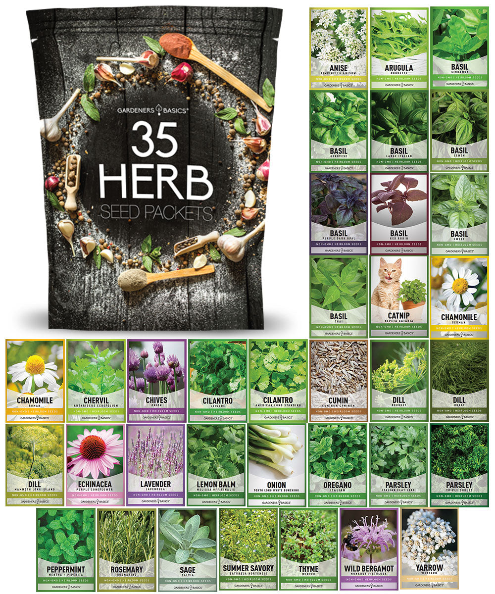 35 Herb Seed Varieties for Planting | Culinary and Traditional Herbs