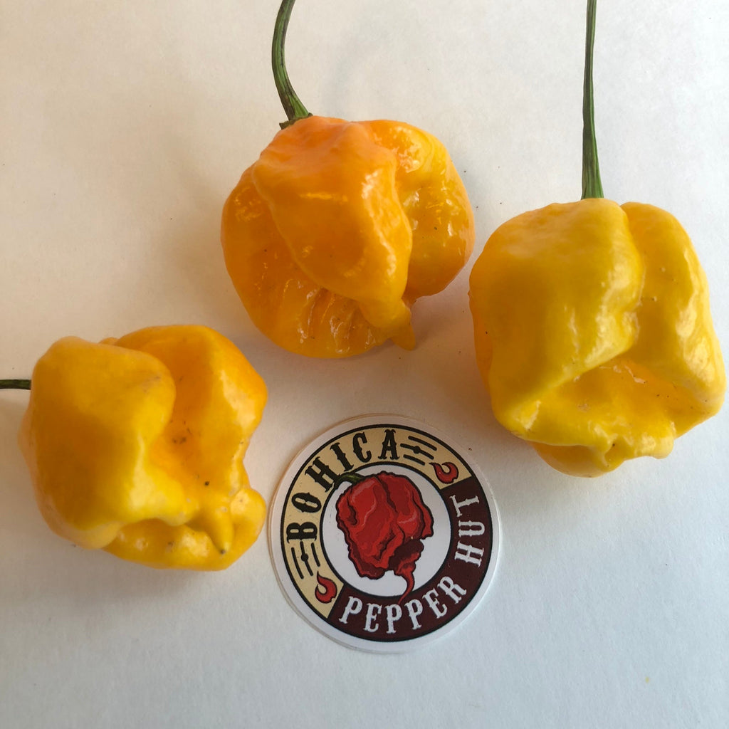 Yellow Reaper - Seeds
