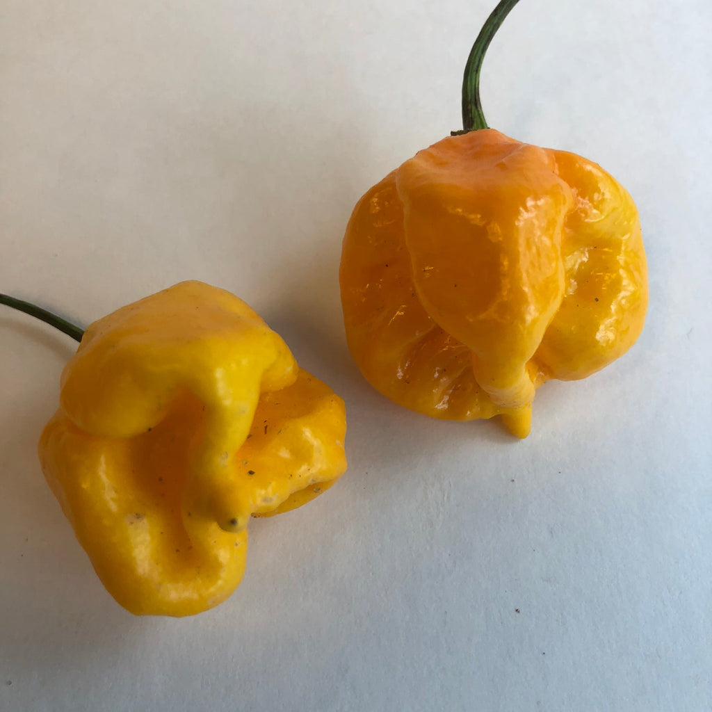 Yellow Reaper - Seeds