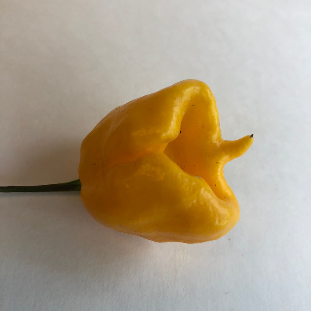 Reaper Mega Combo Pack (6 Types) - Seeds