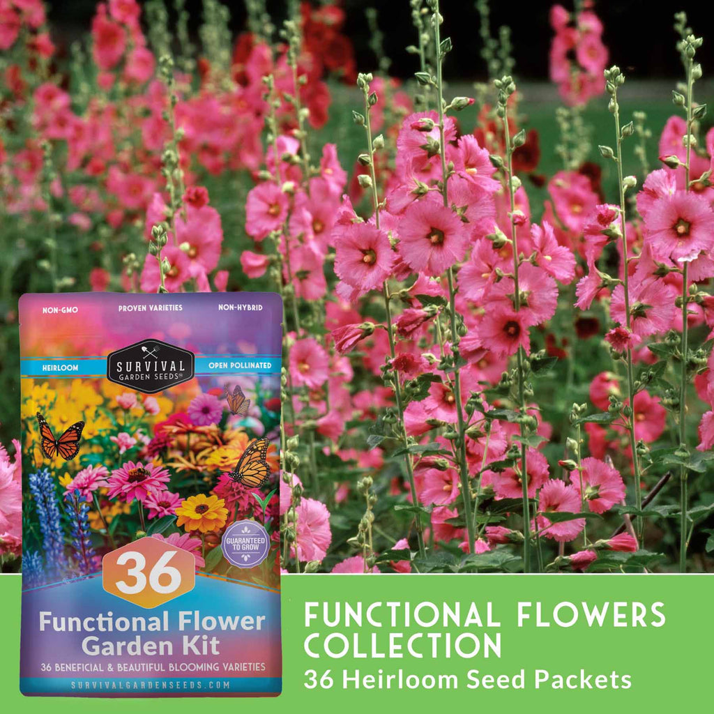 Flower Garden Collection - 36 Flower Seeds for Beauty, Bees & Wellness