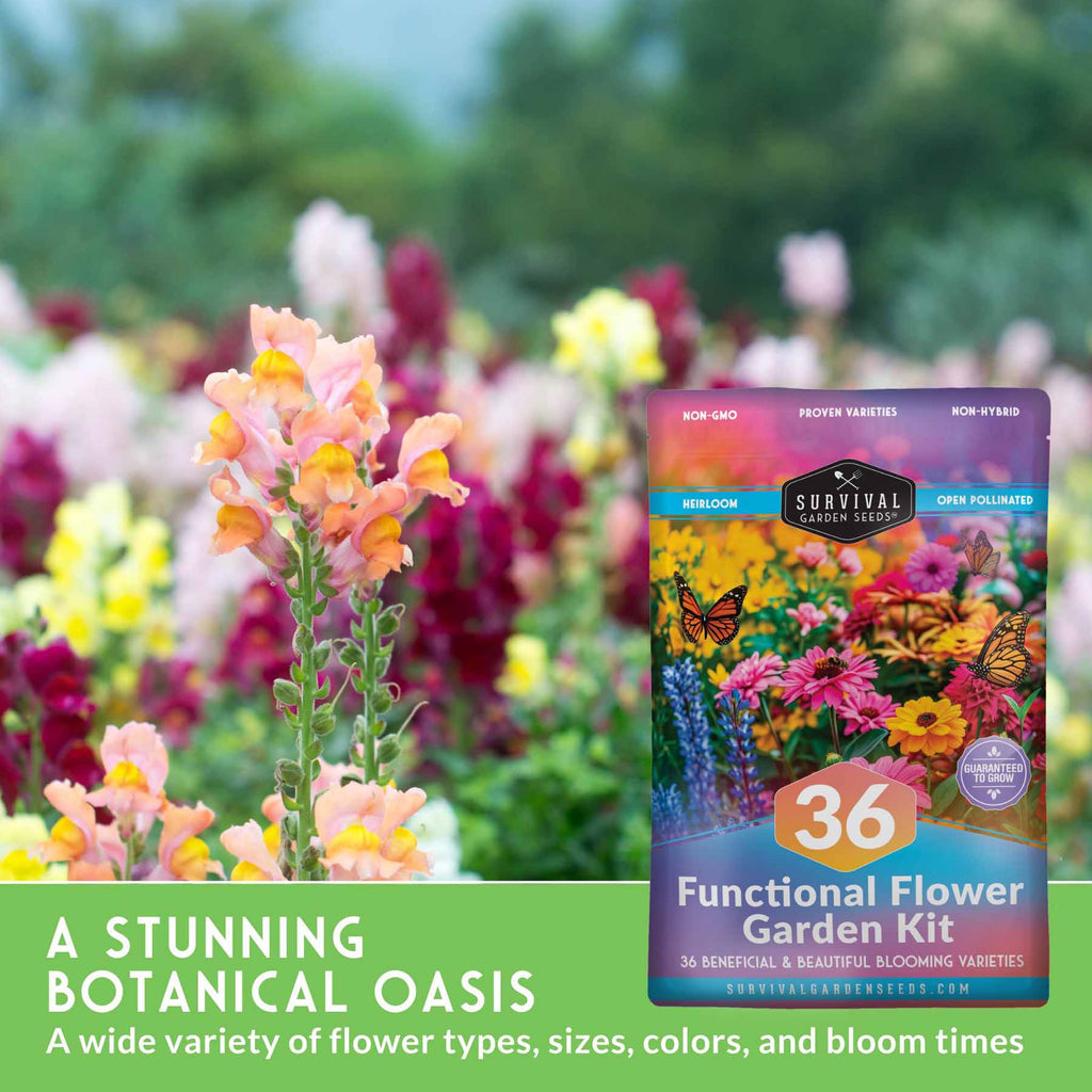 Flower Garden Collection - 36 Flower Seeds for Beauty, Bees & Wellness
