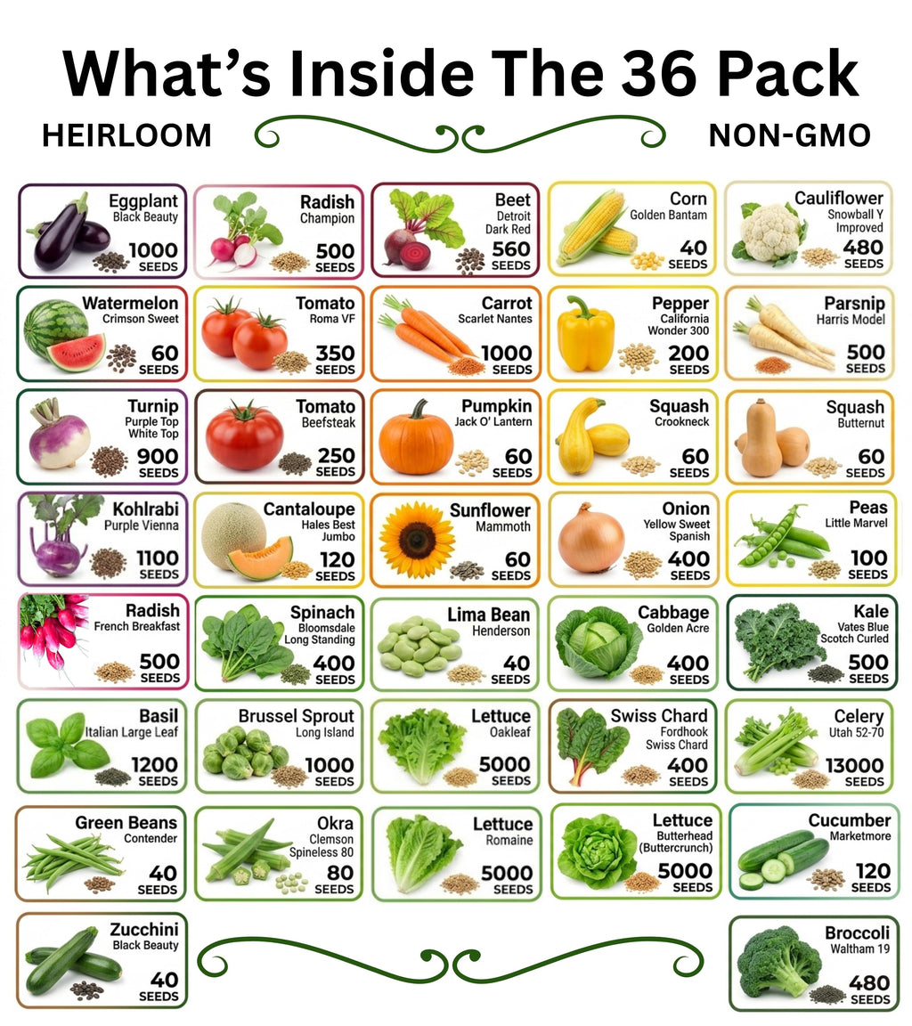 20-50 Varieties - Heirloom Vegetable & Herb Long-Term Seed Vault Bucket – USA Grown, Non-GMO - 10,000-50,000 Seeds