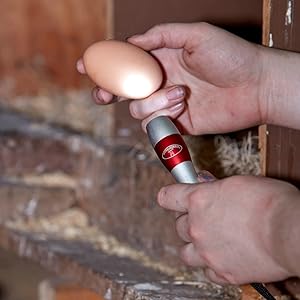 Little Giant LED Egg Candler for Hatching Eggs Poultry Incubator Candler 2-Pack