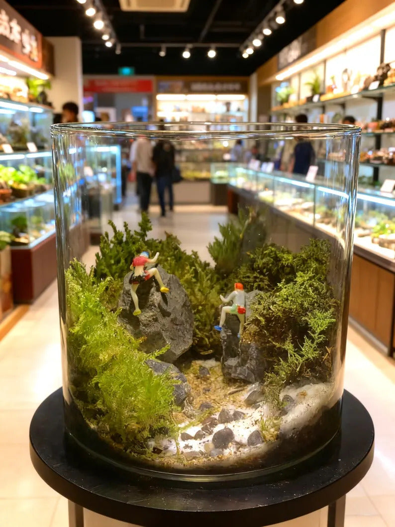 Live Moss Terrarium in Glass Jar Mini Bioactive Mossarium with Stone & Tiny Figurine Natura Desktop Ecosystem DIY Mini Garden Gift for Lover