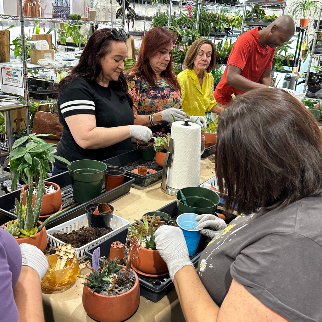 Love Grows Here Succulent Workshop- TBD