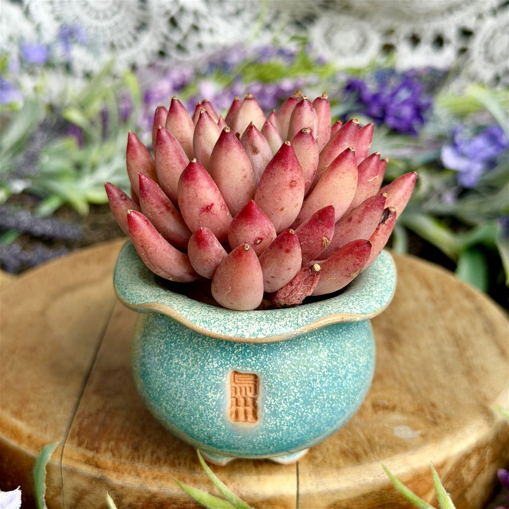 WS-0045 Modern Handmade Ceramic Planter Pot - Pot rim diameter: 1.8"