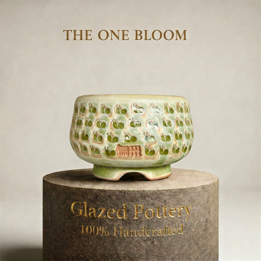 WS-0049 Artisan Handcrafted Pottery Planter Pot - Pot rim diameter: 3"