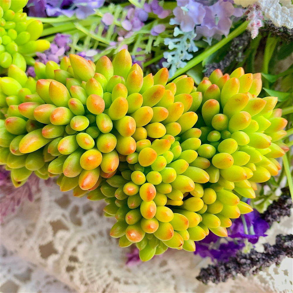 A Beautiful Succulent - Sedum 'Alice Evans' Crested - Do Just As Well With Less Care And Live Longer