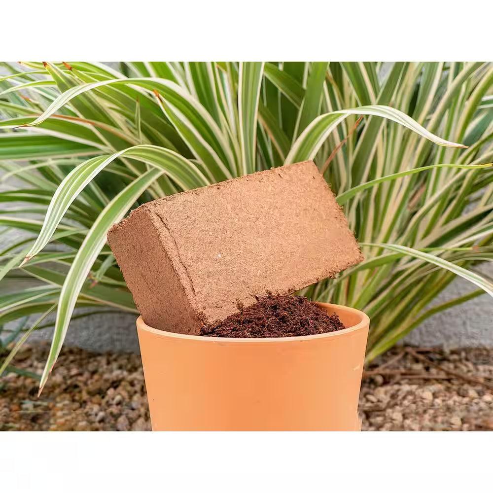 100% Organic Coco Coir Briquette Potting Soil (3-Pack)