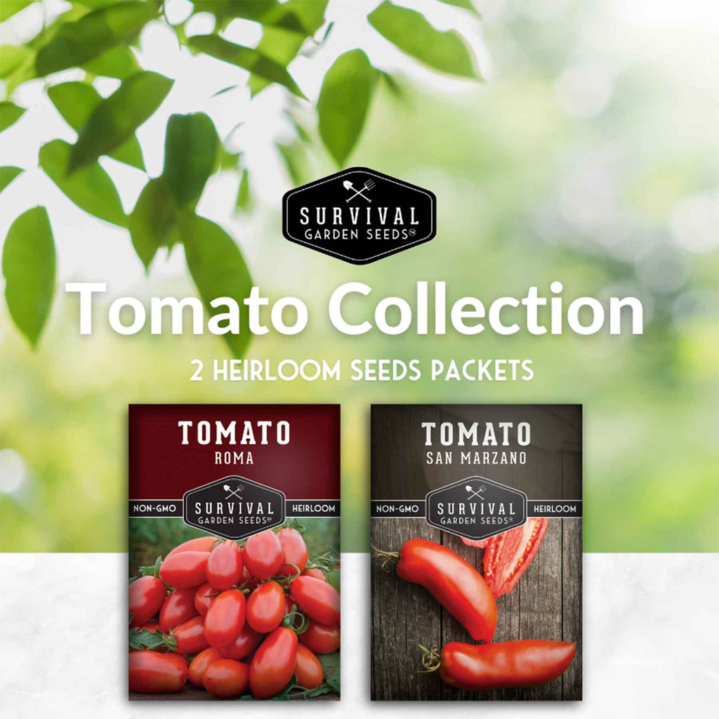 Paste Tomato Seed Collection – Roma & San Marzano Meaty Tomatoes for Sauces, Canning & Preserving