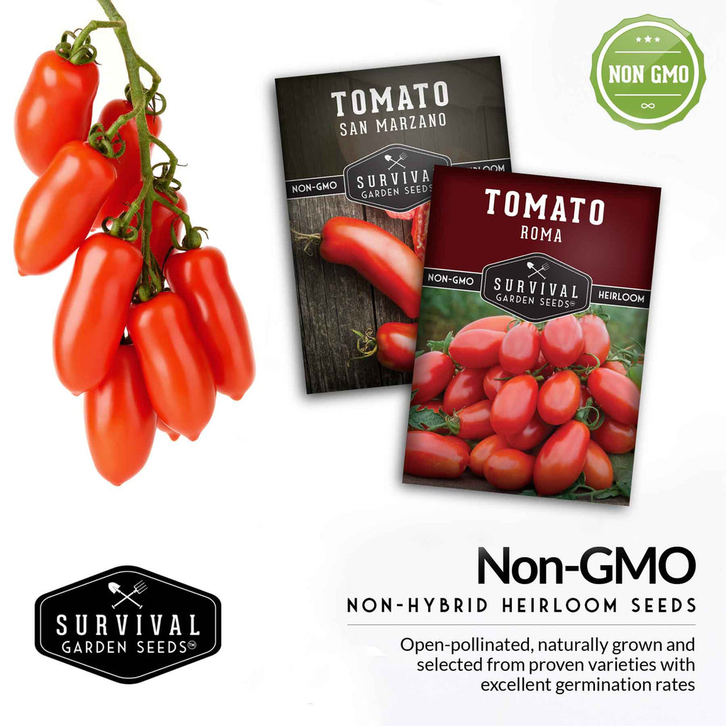 Paste Tomato Seed Collection – Roma & San Marzano Meaty Tomatoes for Sauces, Canning & Preserving