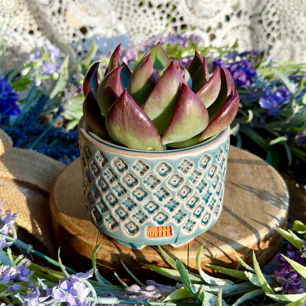 WS-0058 Unique Handmade Pottery Planter Pot - Pot rim diameter: 3"