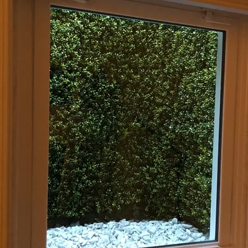Golden Boxwood Greenery Panel