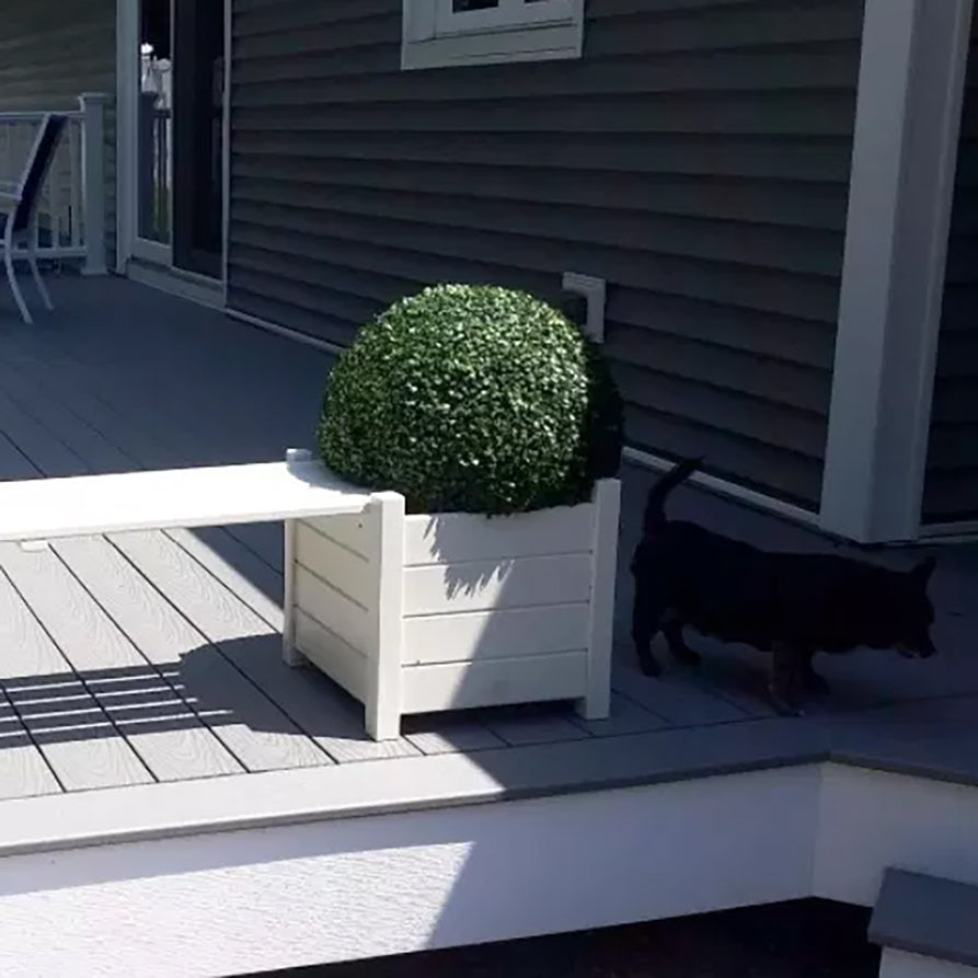 19" XL Boxwood Topiary Ball