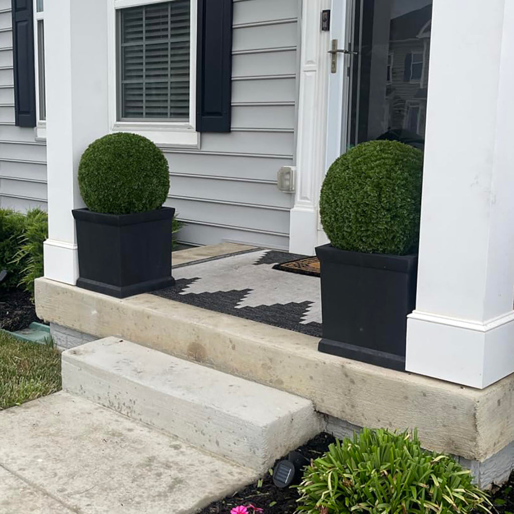 19" XL Cypress Topiary Ball