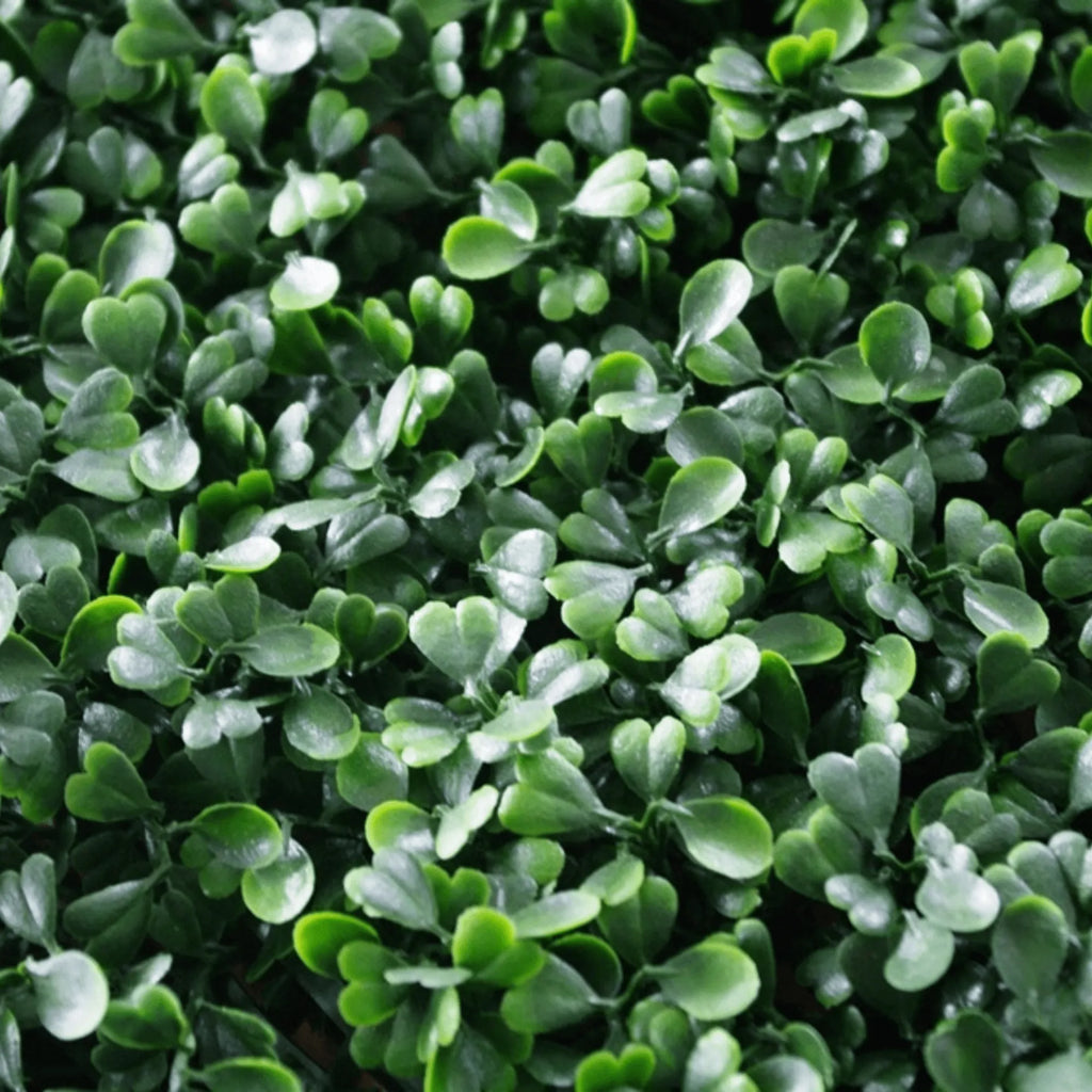 Sample Panel – Dark Boxwood Green Wall (Small Sample)