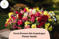 Floral Showers Mix Snapdragon Seeds - 1000+ Colorful Dwarf Blooms for Garden & Containers
