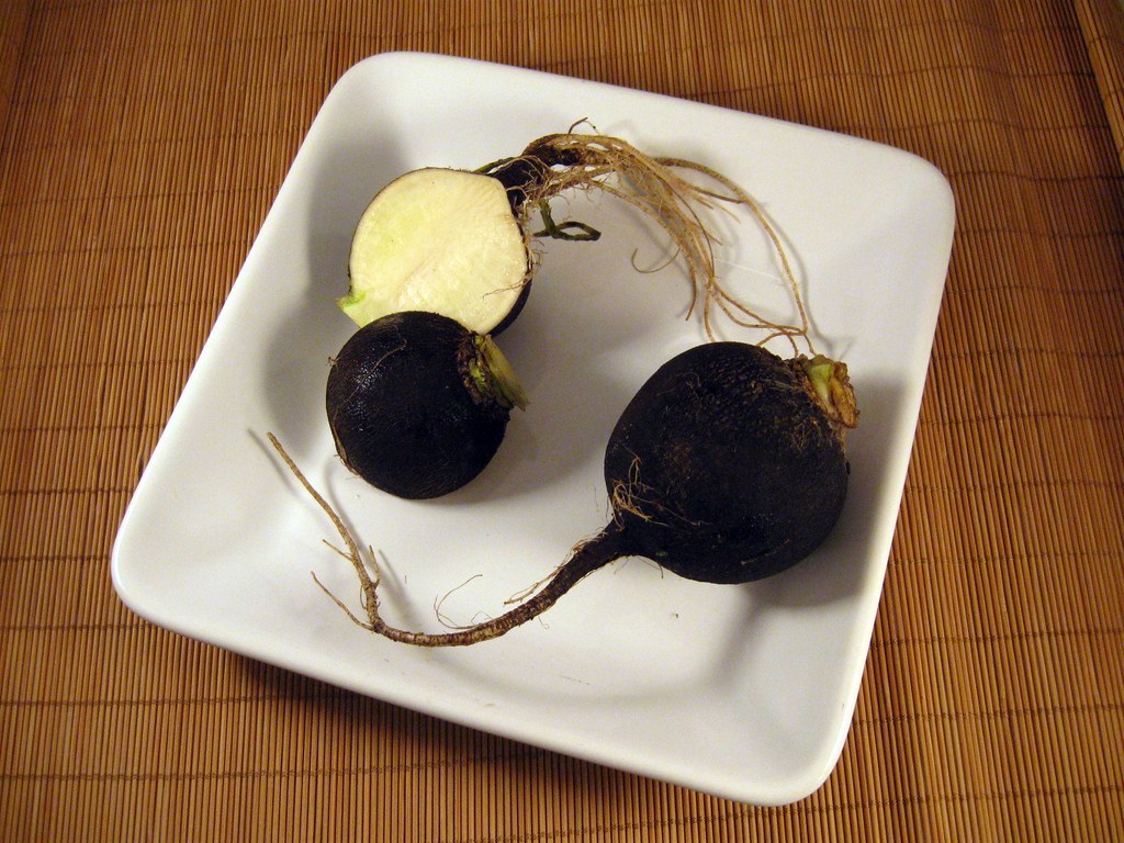 500 Black Spanish Round Radish