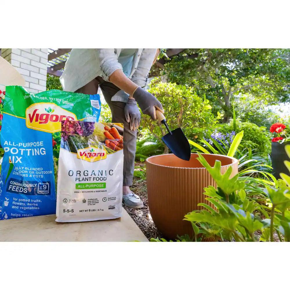 Potting Soil Mix for Indoor & Outdoor | Bumble Plants