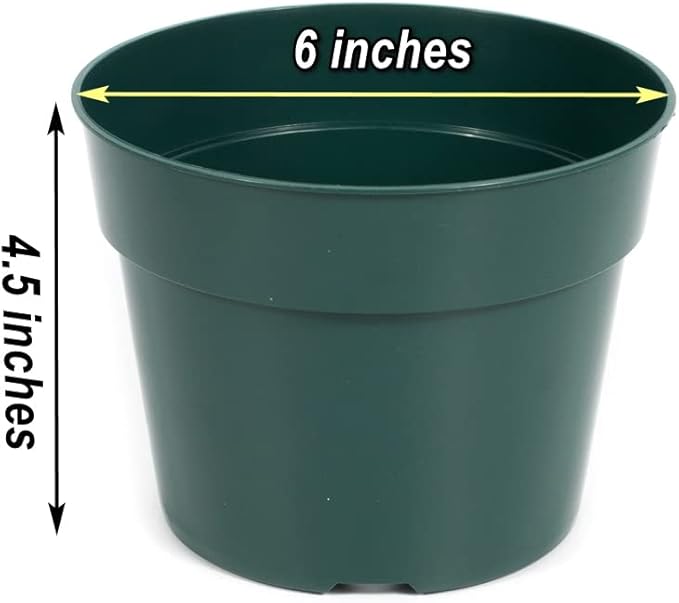 DAPERCI inches Nursery Pot Plant Grow Sturdy Flower pots in Bulk Price 20P Green