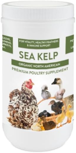 Organic Kelp for Chickens & Duck Feed (1 Pound): Chicken Vitamins | Chicken Supplements | Vitamins for Chickens | Pampered Chicken Mama