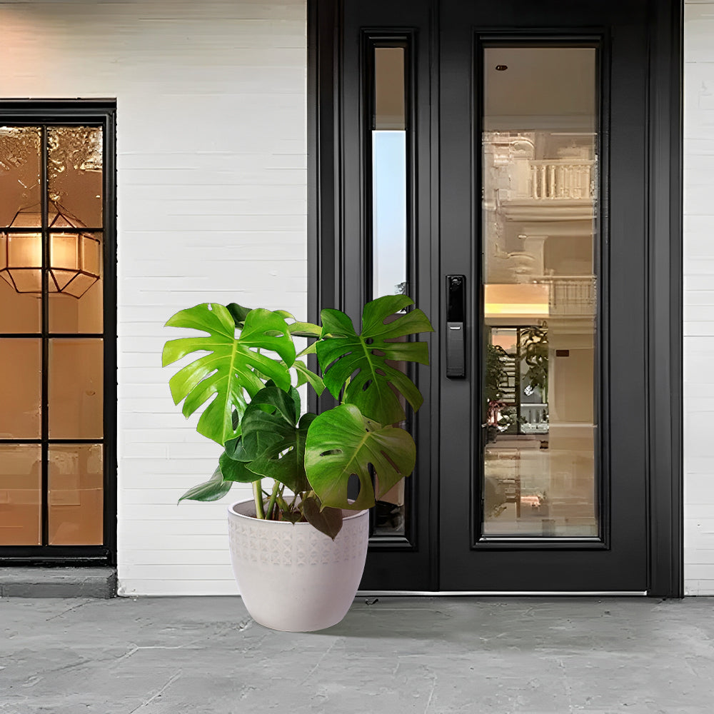 Set of 3 Ceramic Flowerpot, Modern Planter for Patio, Garden, Windowsill - Ancient White