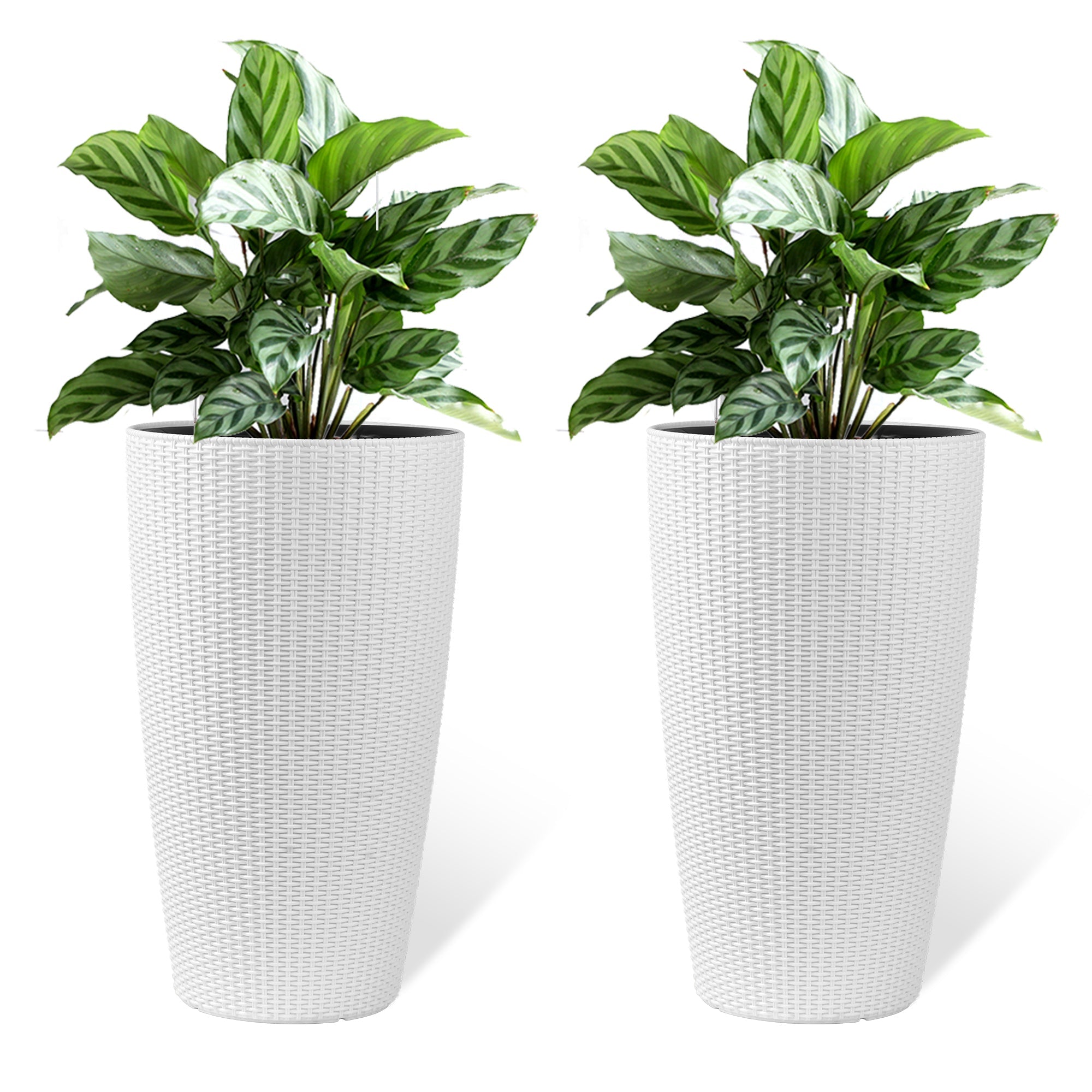 Faux Rattan Tall Planters Set with Water Level Monitor and Automatic Watering, White, Polypropylene, 22 Inch